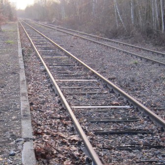 Ein Bild von stillgelegten Gleisen.